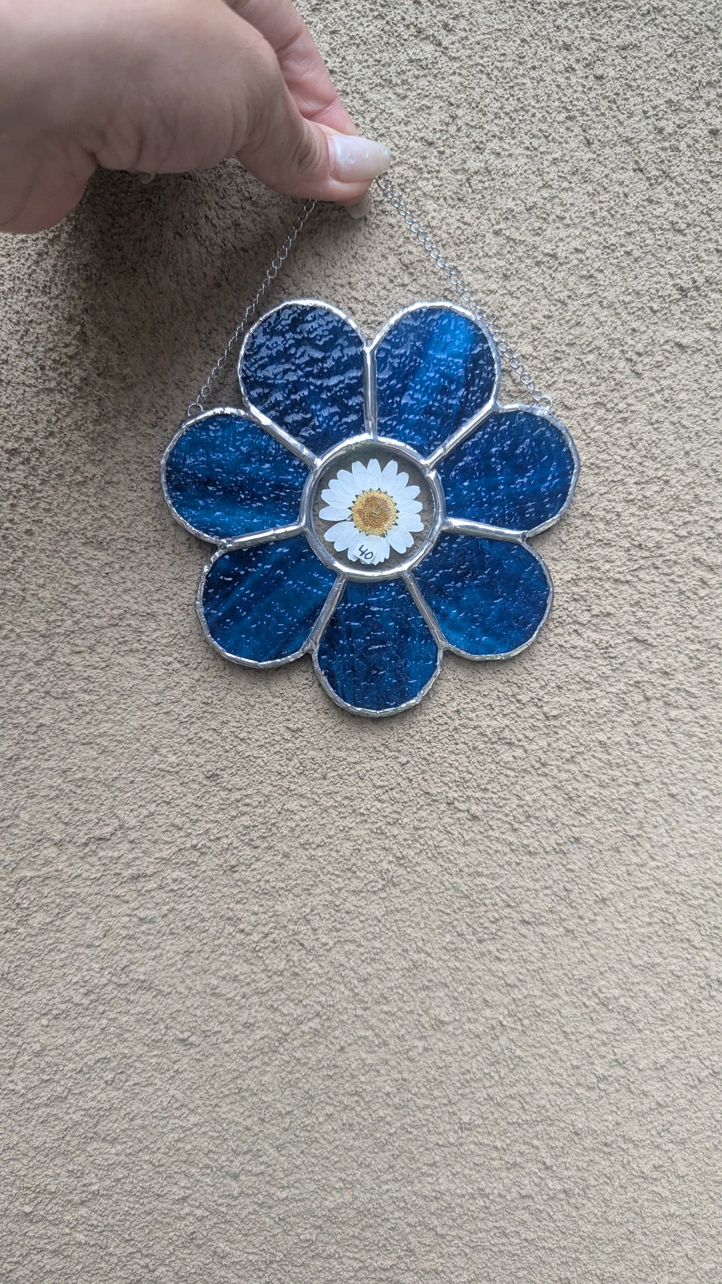 Small daisy flower