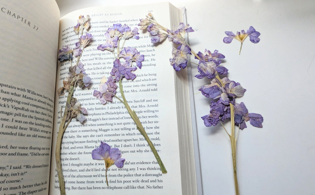 Pressed flowers within book pages